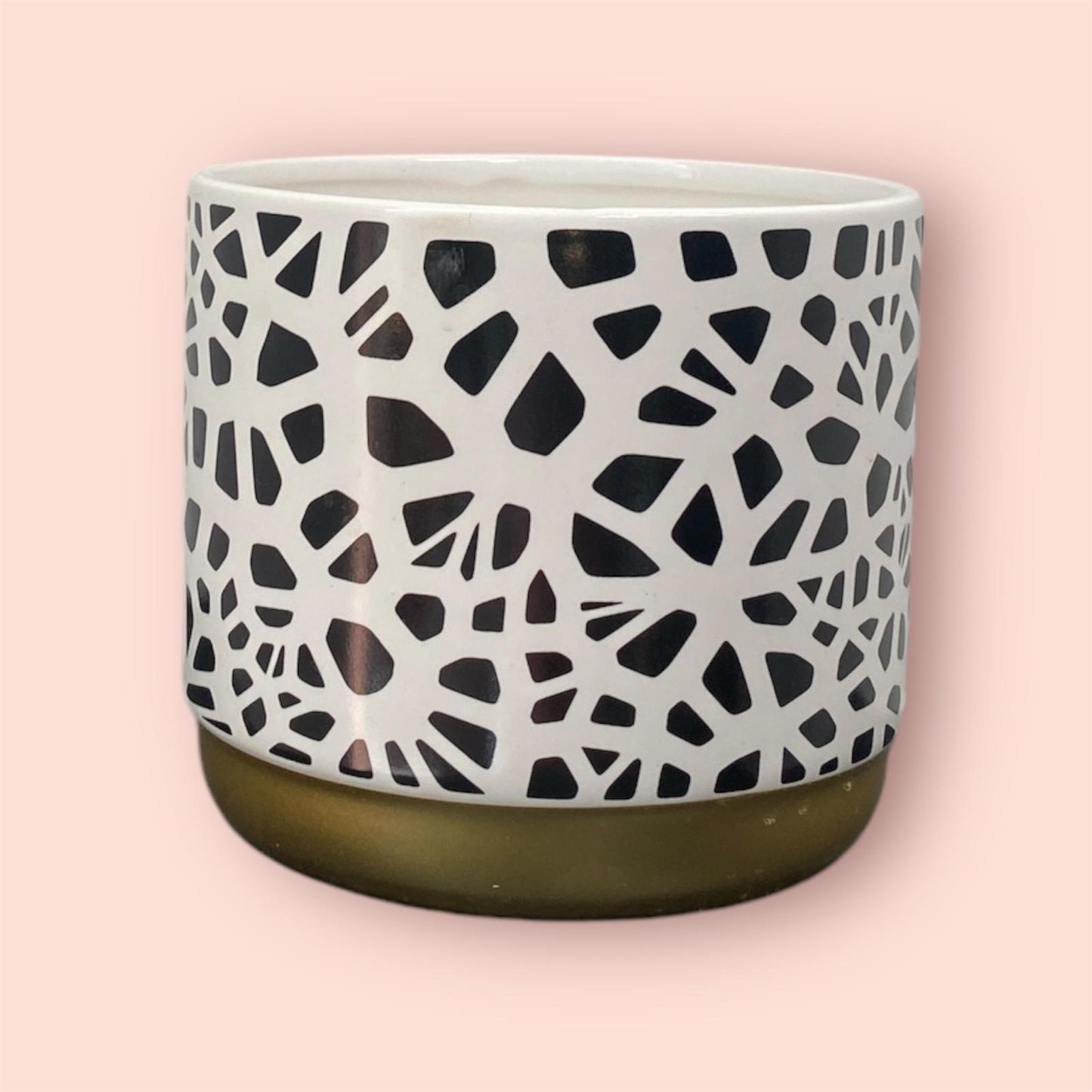 Savannah Chic Pot 12cm